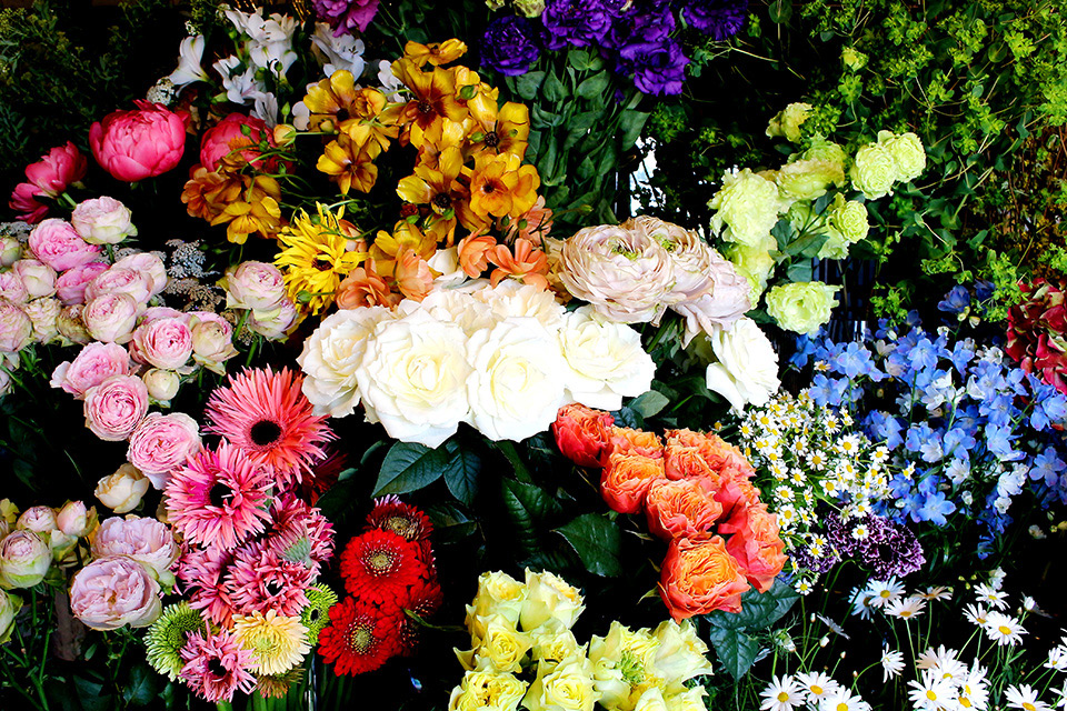 季節の旬から珍しいものまで色々な花が楽しめる Green Flower Fuller Things シングス 新潟のローカルなwebマガジン