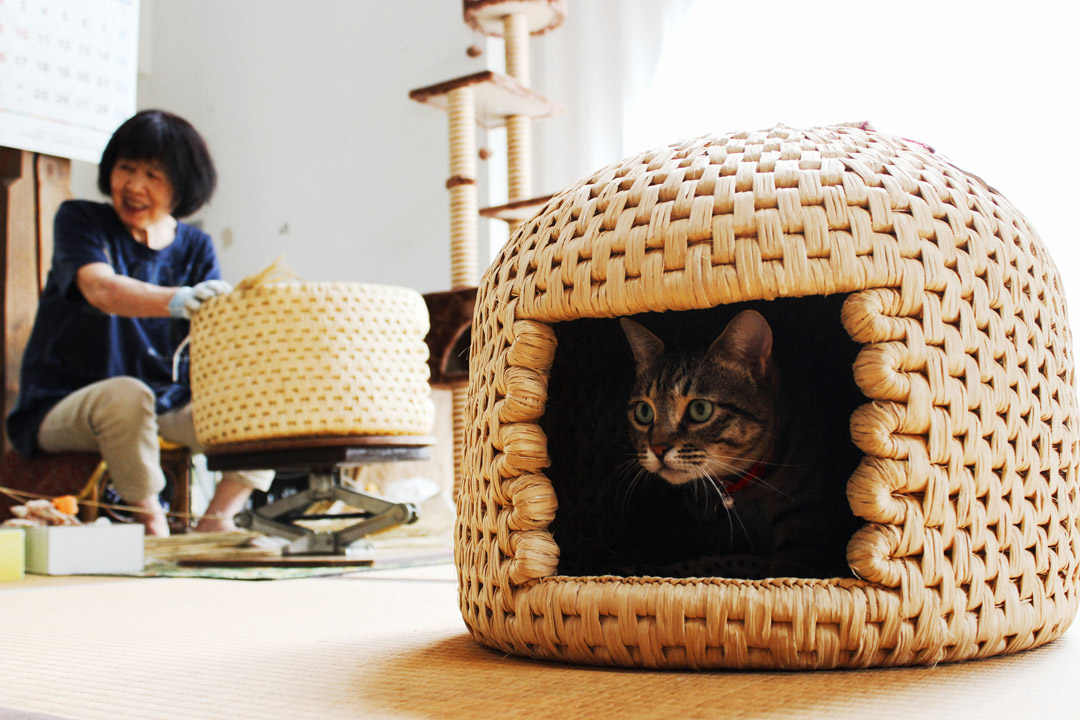 お願いします猫ちぐら　関川村