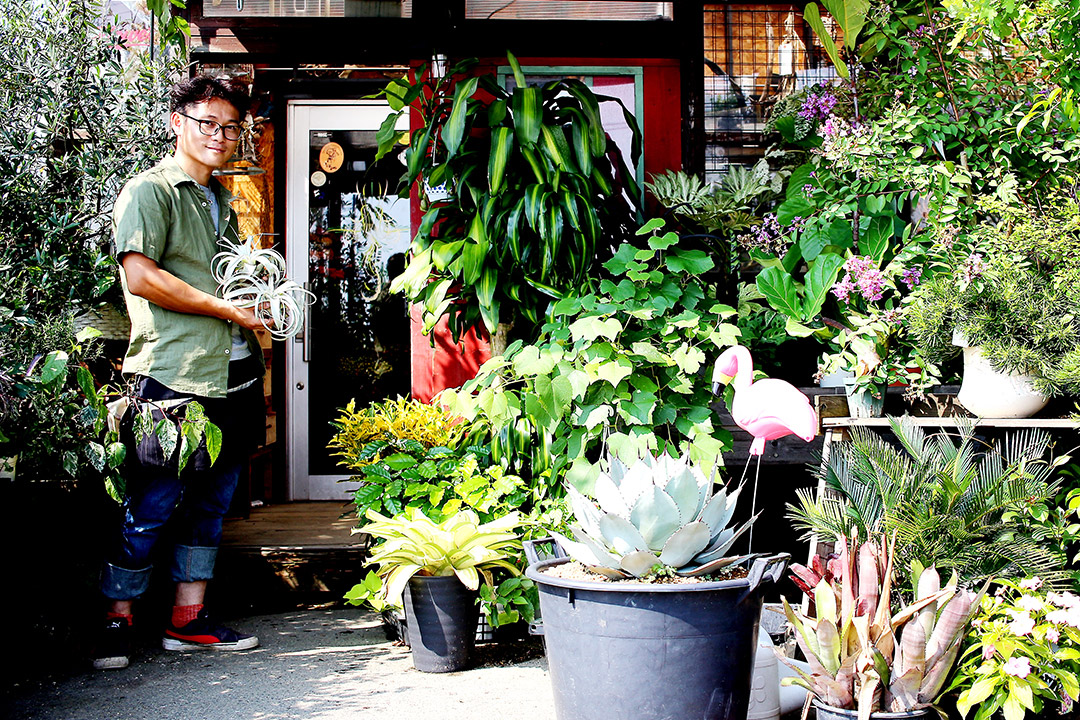 まるで植物園みたいな花屋さん Confetto Verde と珍しい植物たち Things シングス 新潟のローカルなwebマガジン