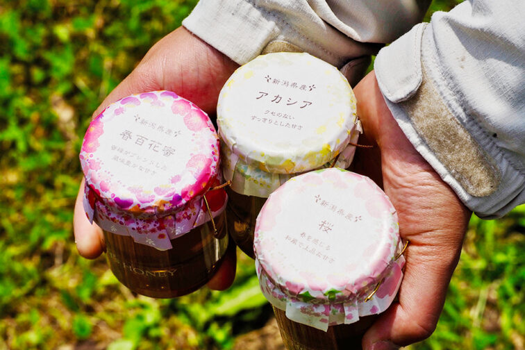希少な新潟県産天然ハチミツを生産する「橋元養蜂園」。 | Things（シングス）｜新潟のローカルなWebマガジン